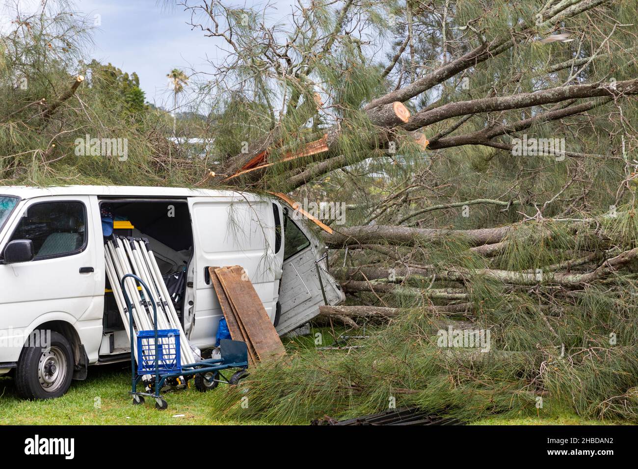 Narrabeen, Sydney, Australia. 19th Dec, 2021. Freak storm brought down trees and power lines on Sydney's northern beaches, one lady has died and others are critical, emergency services attended and plain clothes personnel at the scene of the fallen tree that killed a lady near Narrabeen Surf Club. Credit: martin berry/Alamy Live News Stock Photo