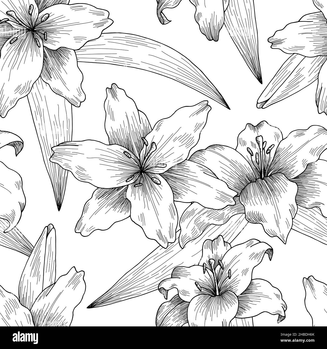 Lily flower graphic black white seamless pattern sketch illustration