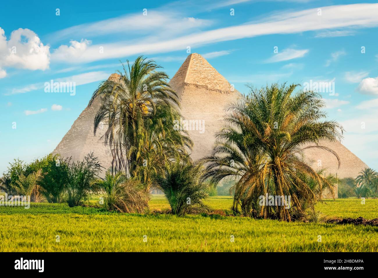 Egyptian pyramids in green field at foggy morning Stock Photo - Alamy
