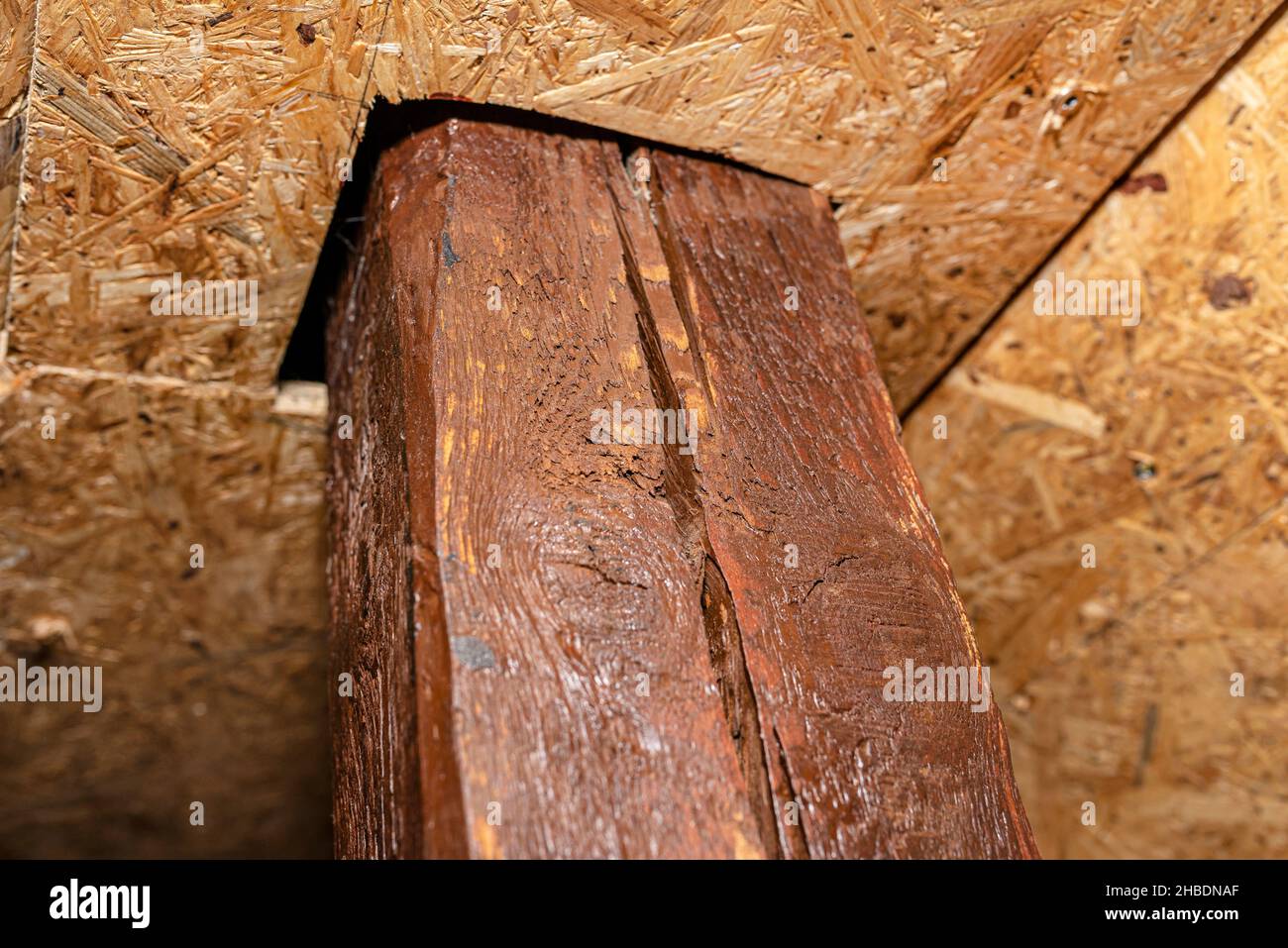 Roof truss visible in the attic house, painted brown with visible cracks in the wood, walls covered with OSB boards. Stock Photo