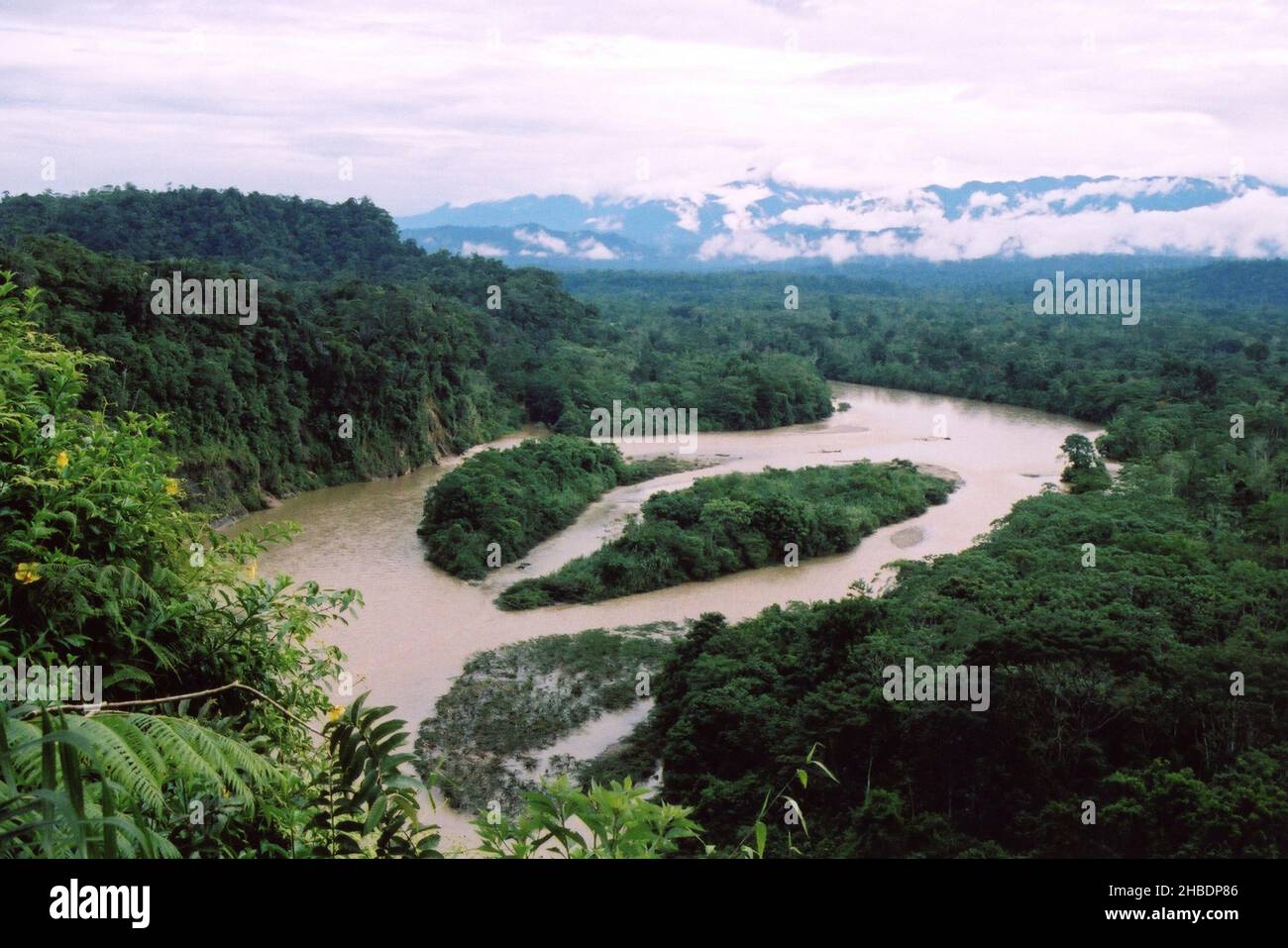 Napo River - a tributary of the Amazon and Rainforest, Ecuador Stock Photo