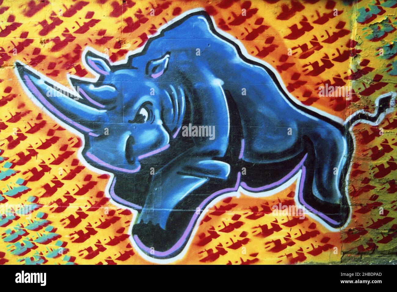 Graffiti Rhino by Artist Stok Stock Photo