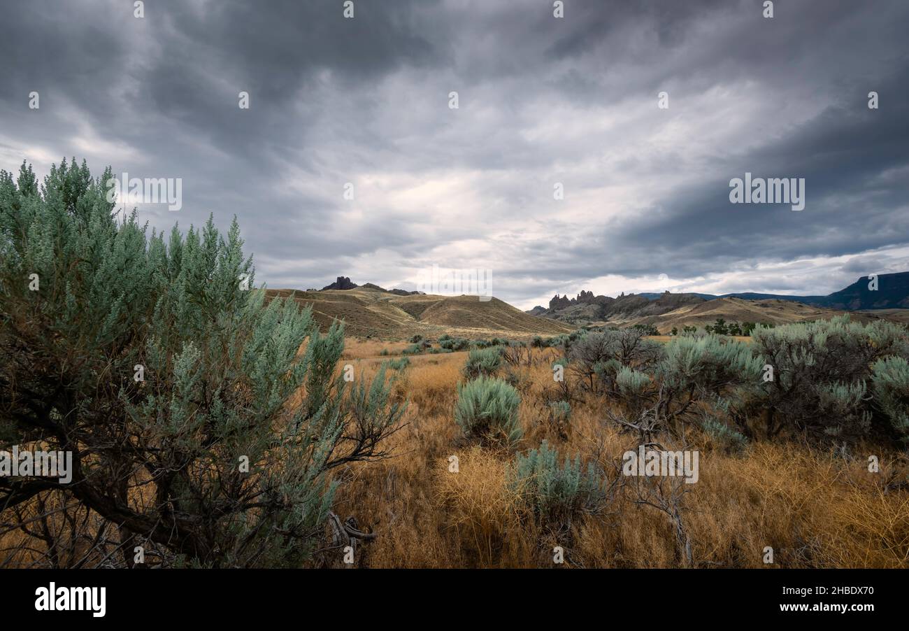 The arid landscape of the prairie in Buffalo Bill State Park at dusk with sagebrush, dry grasses, and rock formations on the horizon. Cody, USA. Stock Photo