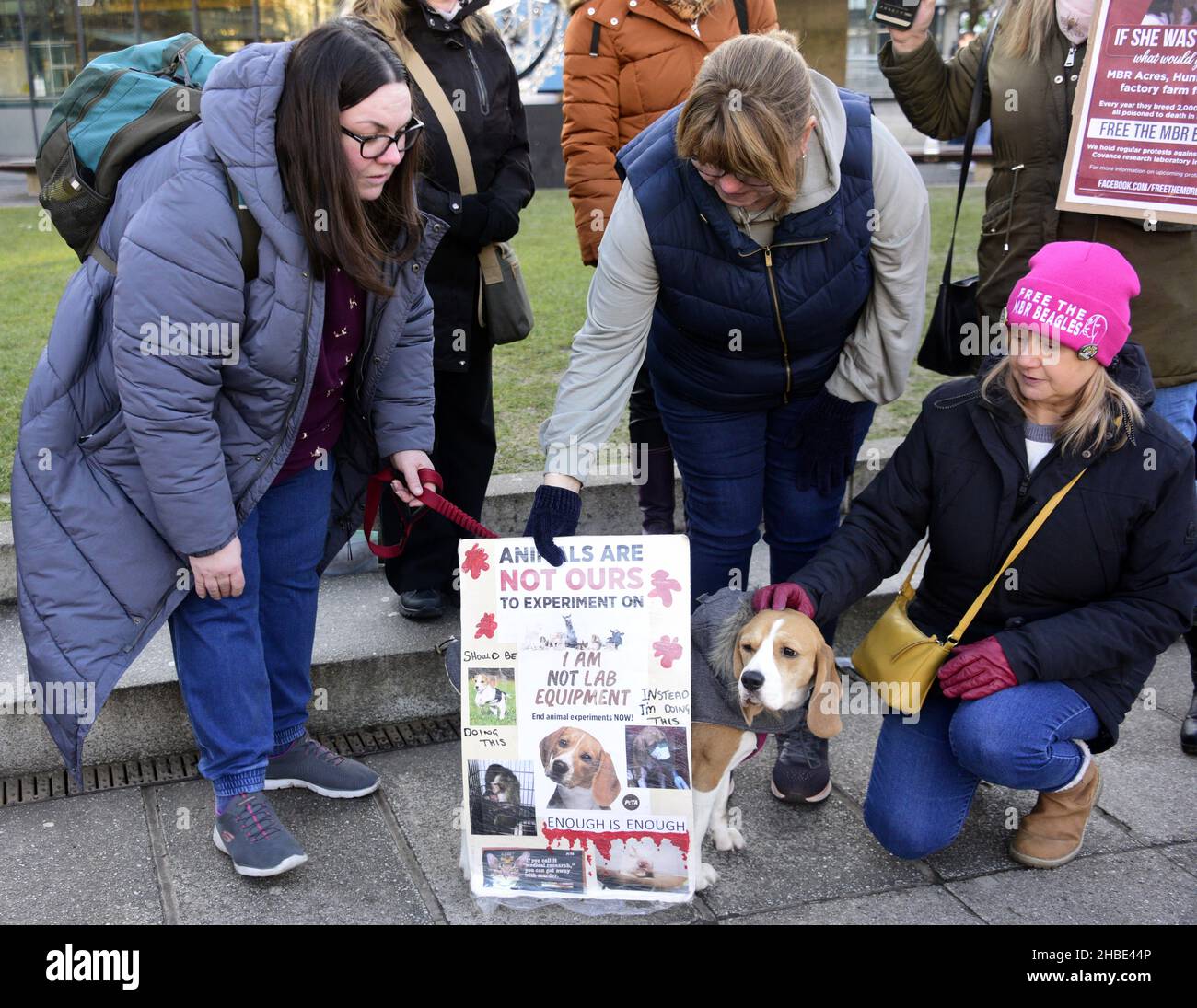 Manchester, UK, 19th December, 2021. A small group of demonstrators in Piccadilly Gardens, city centre Manchester, England, United Kingdom, call for the freeing of MBR beagles which the protesters allege are bred for experimentation by a company in Huntingdon, UK. The protesters held up placards as shoppers walked past the Xmas market stalls. Credit: Terry Waller/Alamy Live News Stock Photo