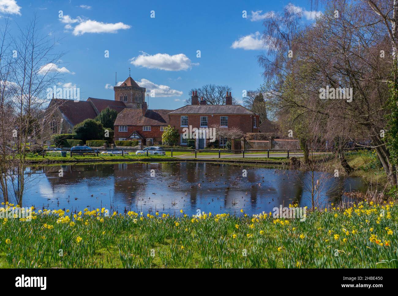 Chiddingfold , Surrey, England. View to church over village pond in Springtime with daffodils Stock Photo