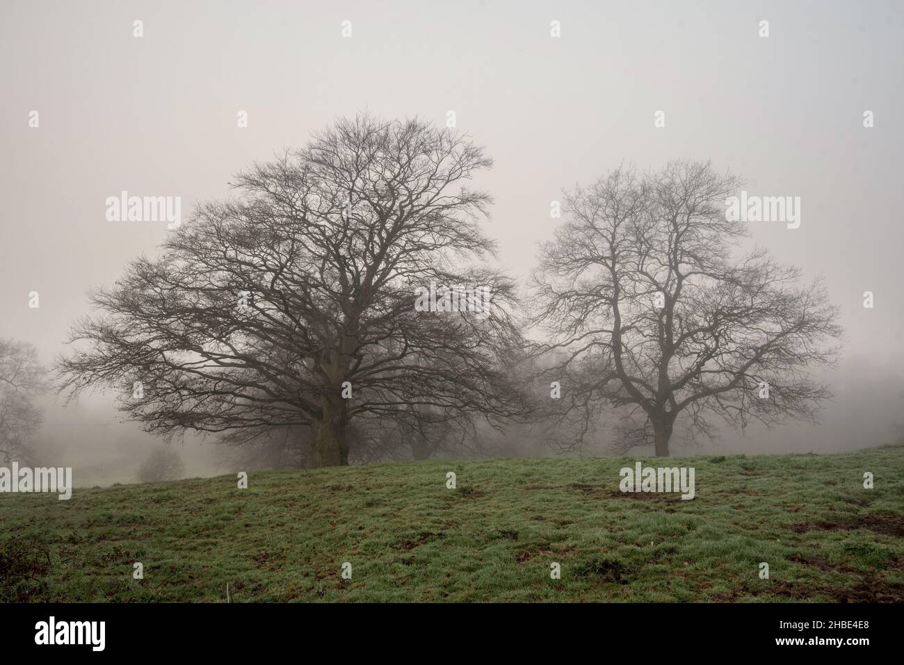 Misty December morning close to Arclid Silica Sand Quarry in Cheshire Stock Photo