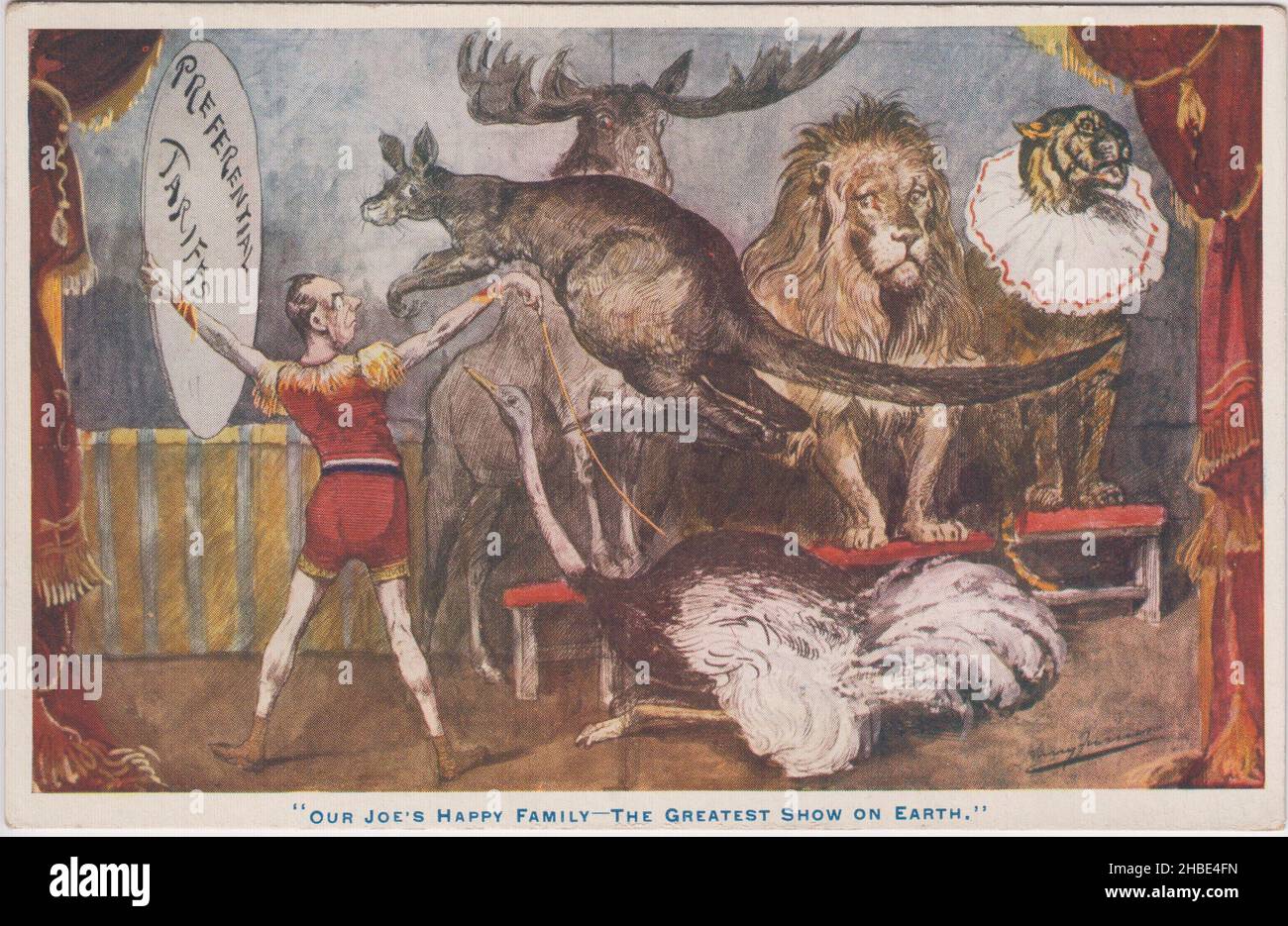 'Our Joe's happy family - the greatest show on earth': cartoon by Harry Furniss portraying the politician Joseph Chamberlain as a circus ringmaster. He is shown encouraging animals representing different countries in the British Empire (kangaroo, moose, lion, tiger and emu) to jump through a hoop captioned 'Preferential tariffs' Stock Photo