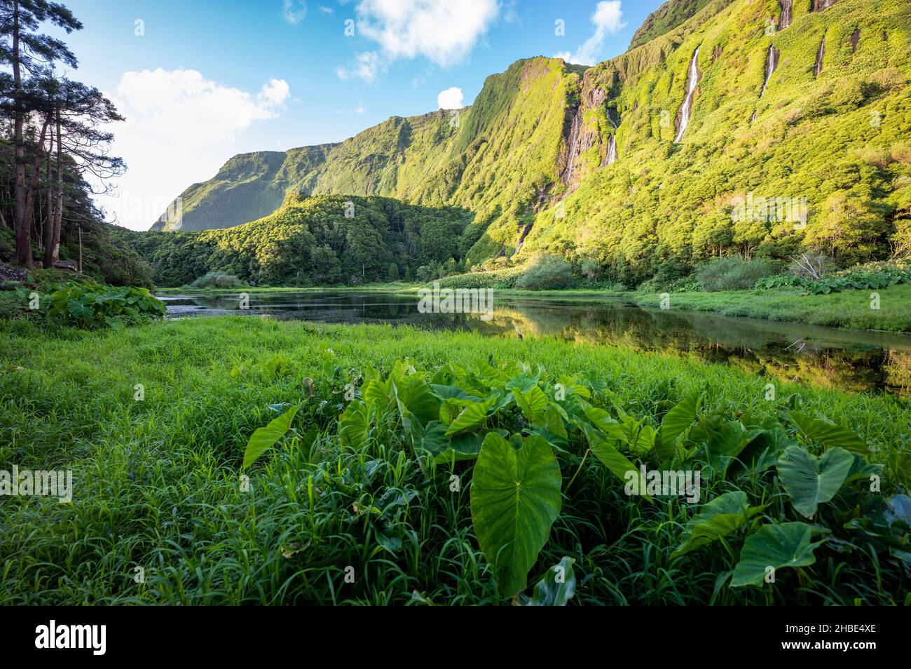 Poco da Ribeira do Ferreiro, Flores, Azores Islands. Waterfalls and landscape Stock Photo