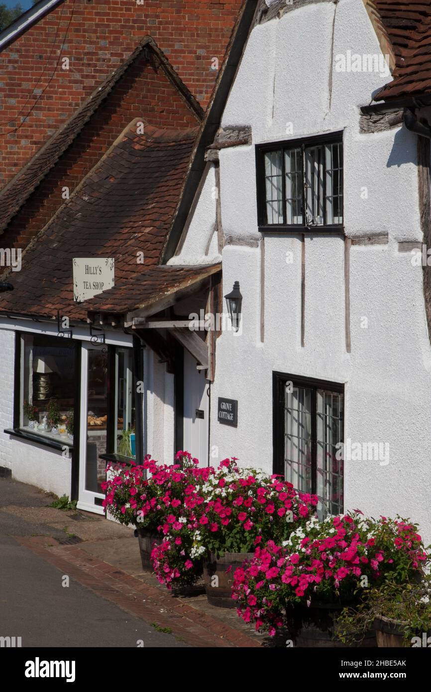 Village houses and tea room in the Village of Shere ,Surrey, England