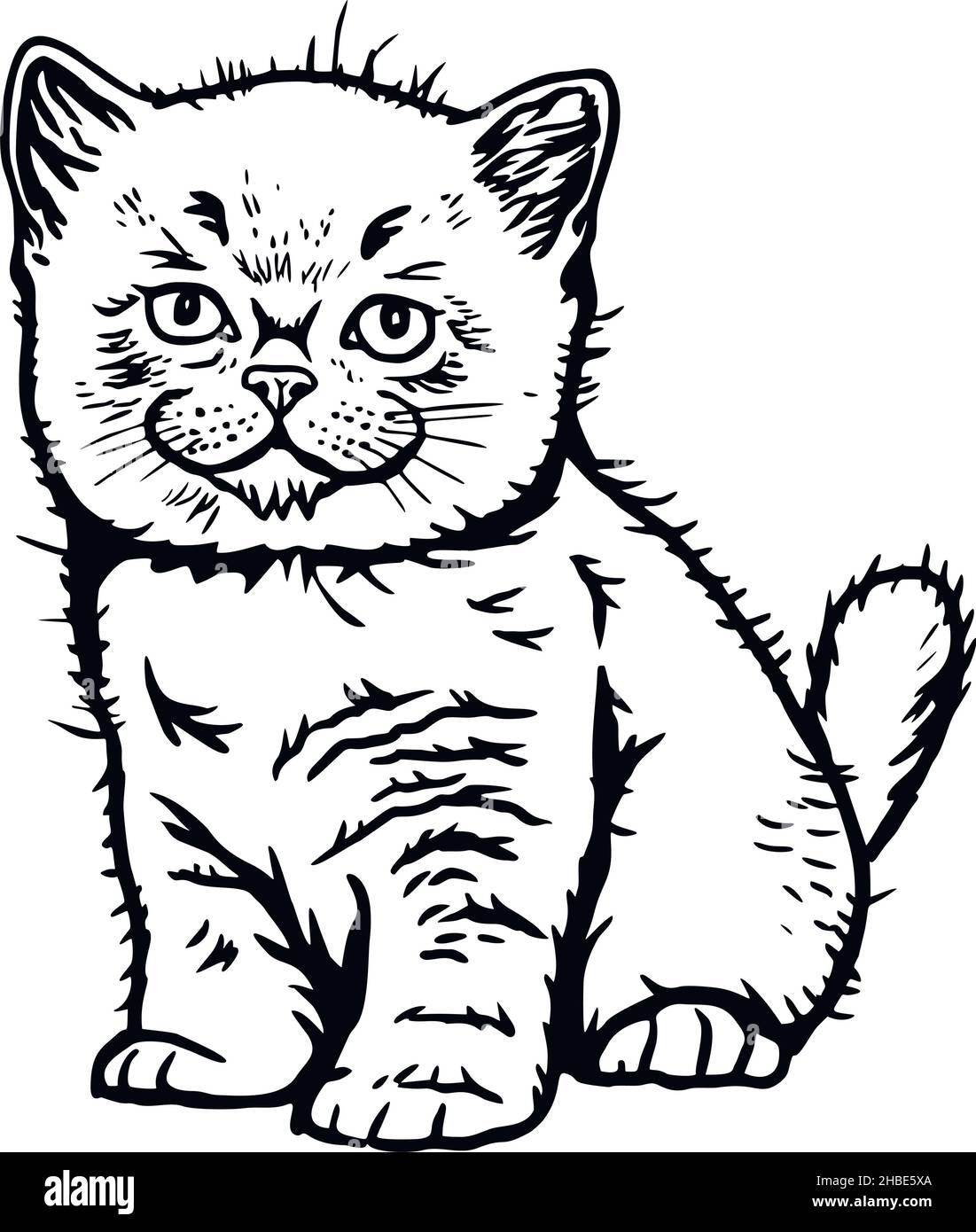 Cat Peeking Kitten Cheerful Kitty Isolated On White Vector Stock cat-peeking-kitten-cheerful-kitty-isolated-on-white-vector-stock