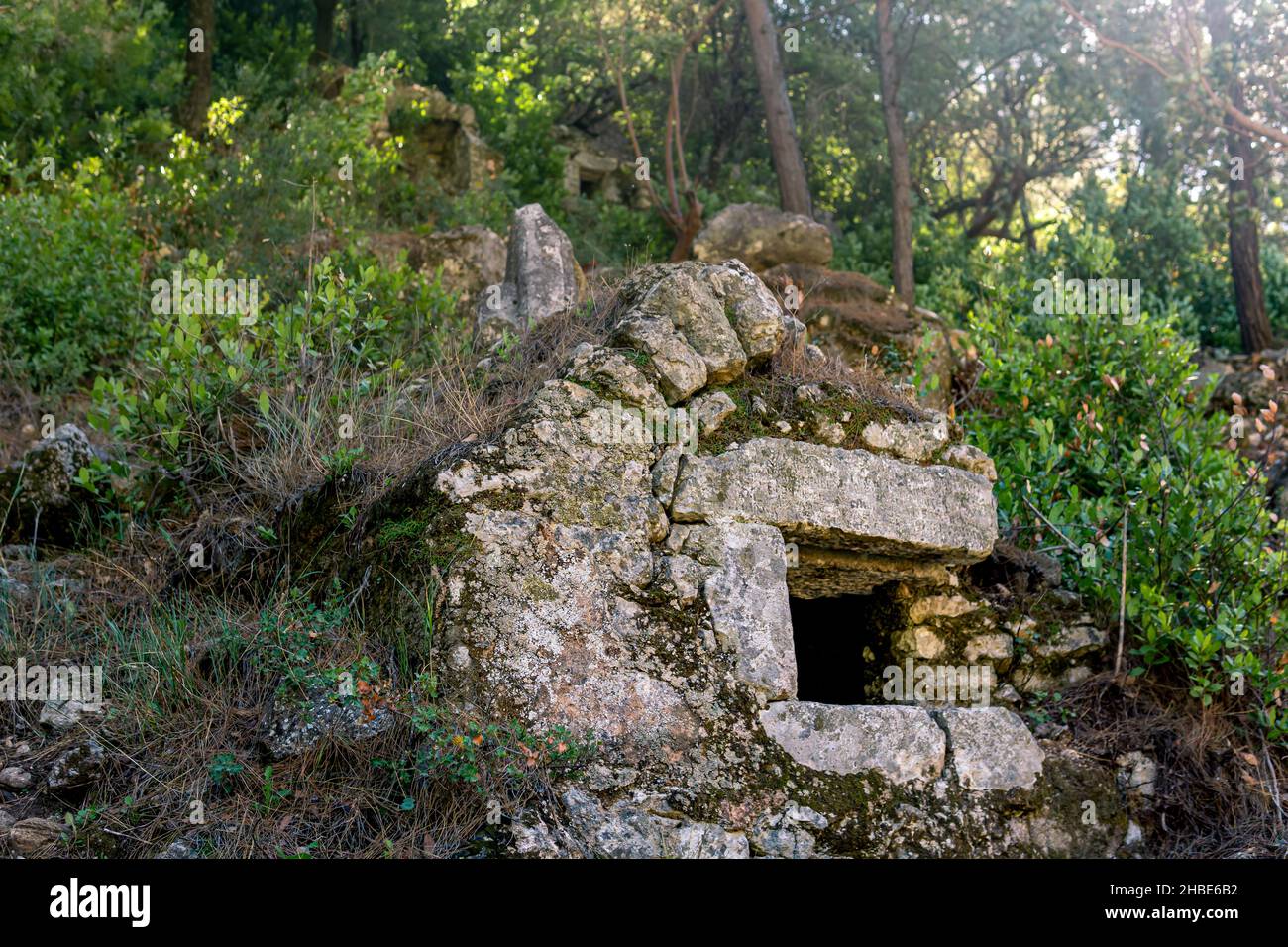 ancient crypt among the forest in the ruins of the antique city of ...