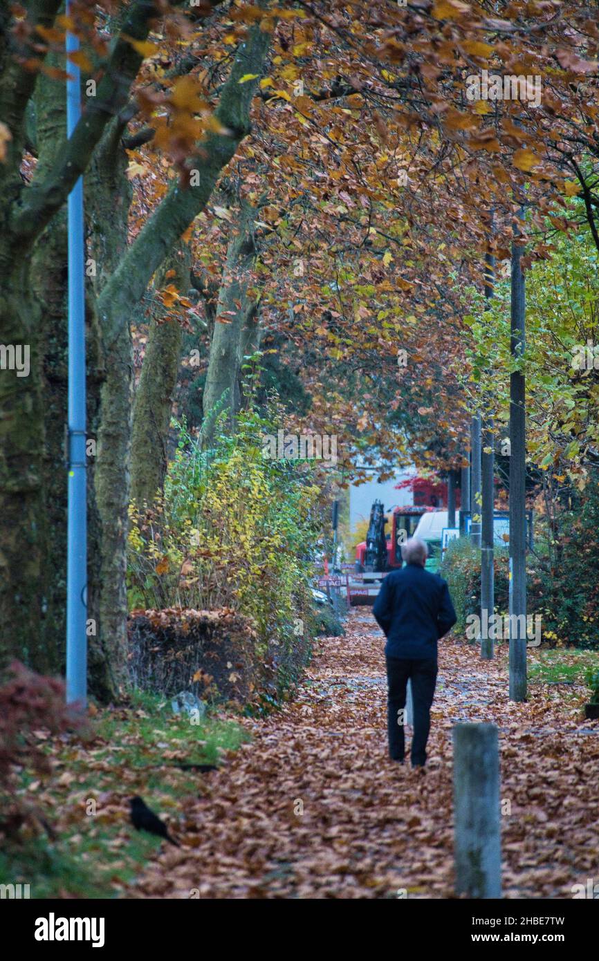 A back view of an elderly man walking on the pathway in the park Stock ...
