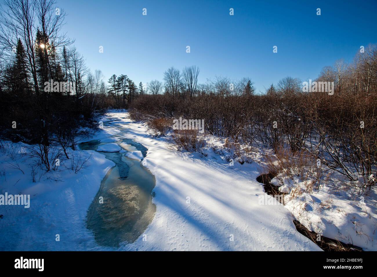Frozen stream running through a Wisconsin forest, horizontal Stock Photo