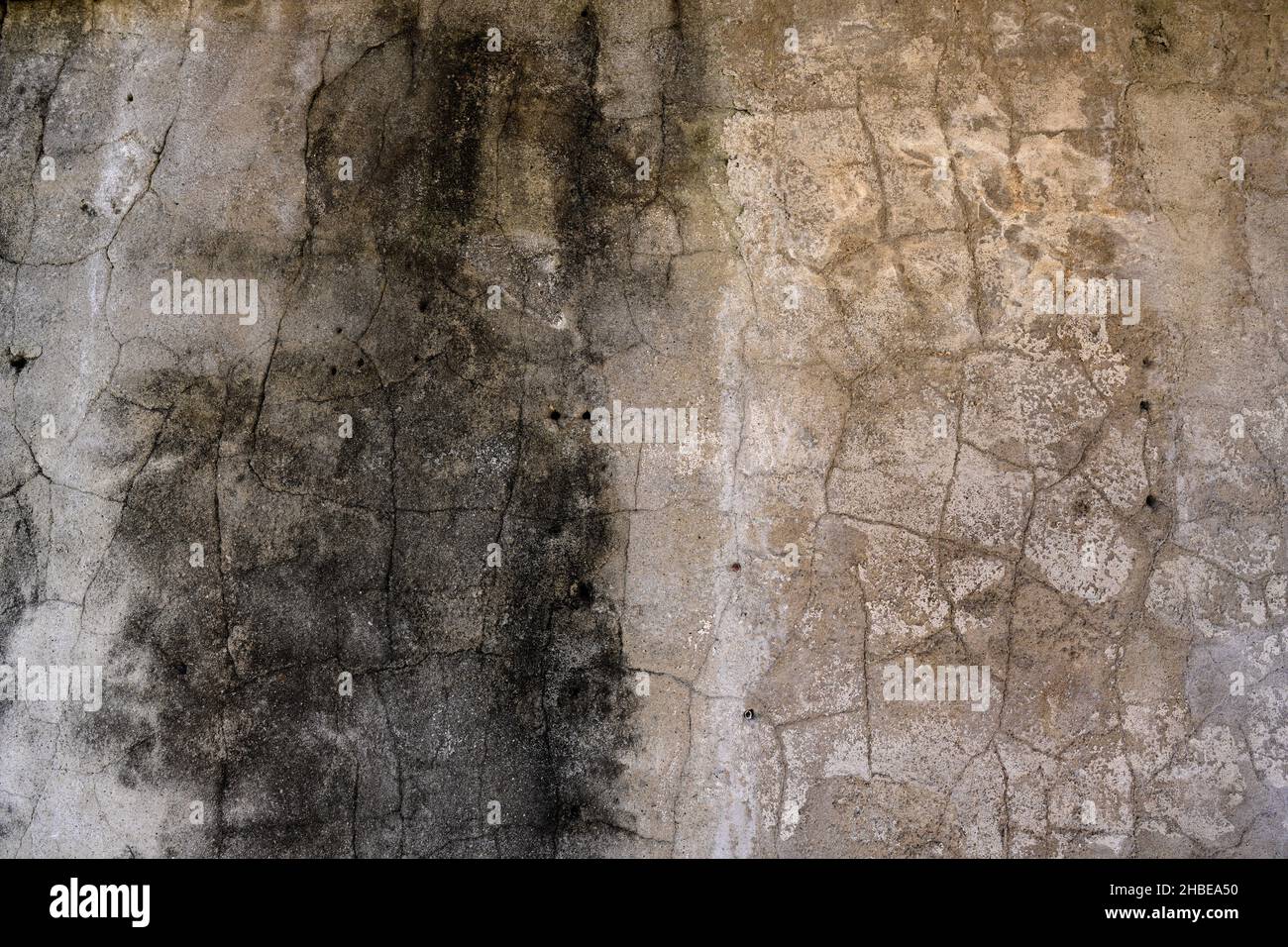 Wall Texture Texas Stock Photo Alamy