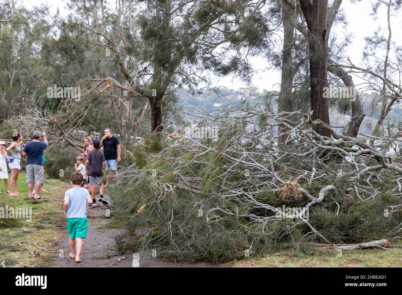 Narrabeen Lake storm damage local community inspects the freak storm