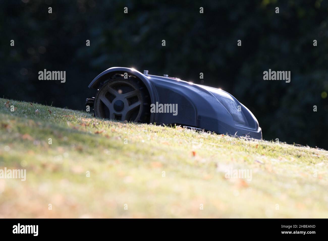 robotic lawn mower Stock Photo