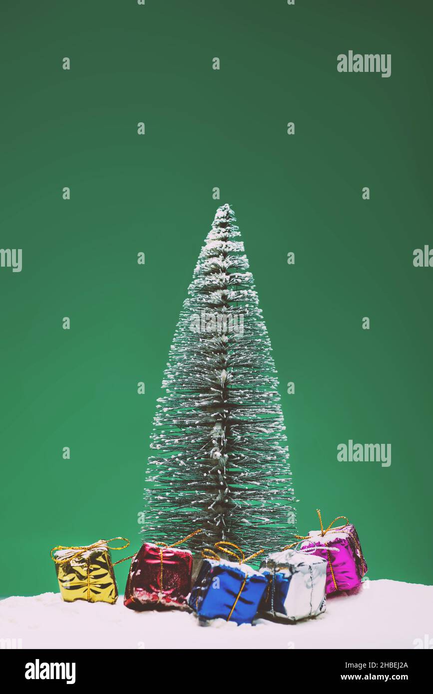 Pine tree on a matte green background with some snow and gift boxes ...