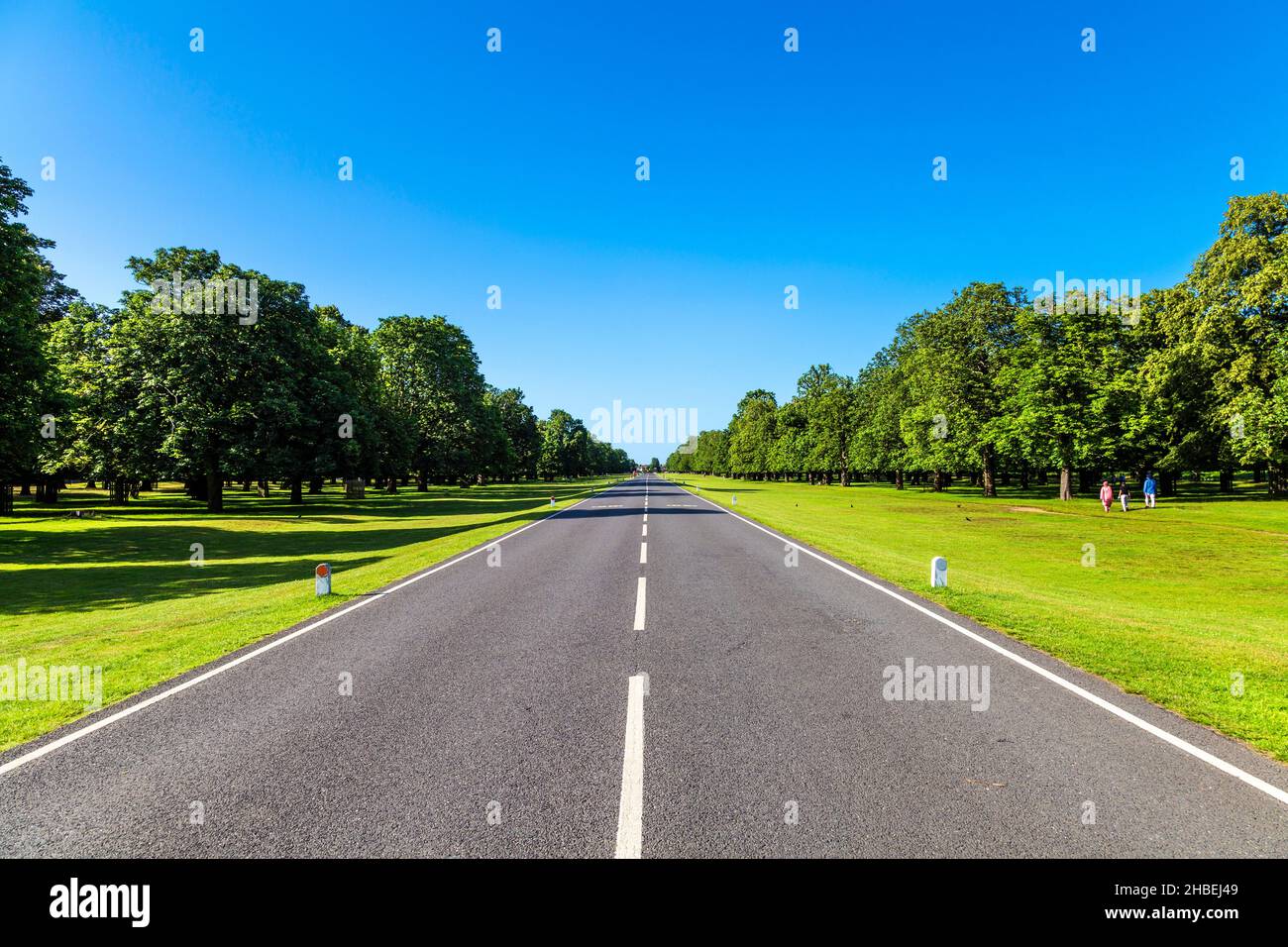 Chestnut Avenue - road through Bushy Park, East Molesey / Hampton Court, London, UK Stock Photo
