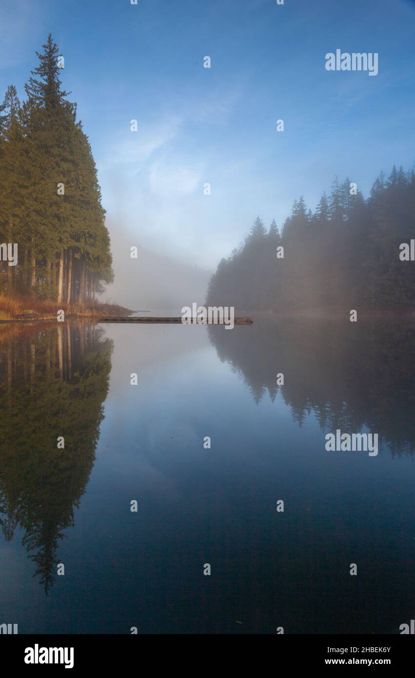 Treelined lake in mist, Loon Lake, Maple Ridge, British Columbia, Canada Stock Photo