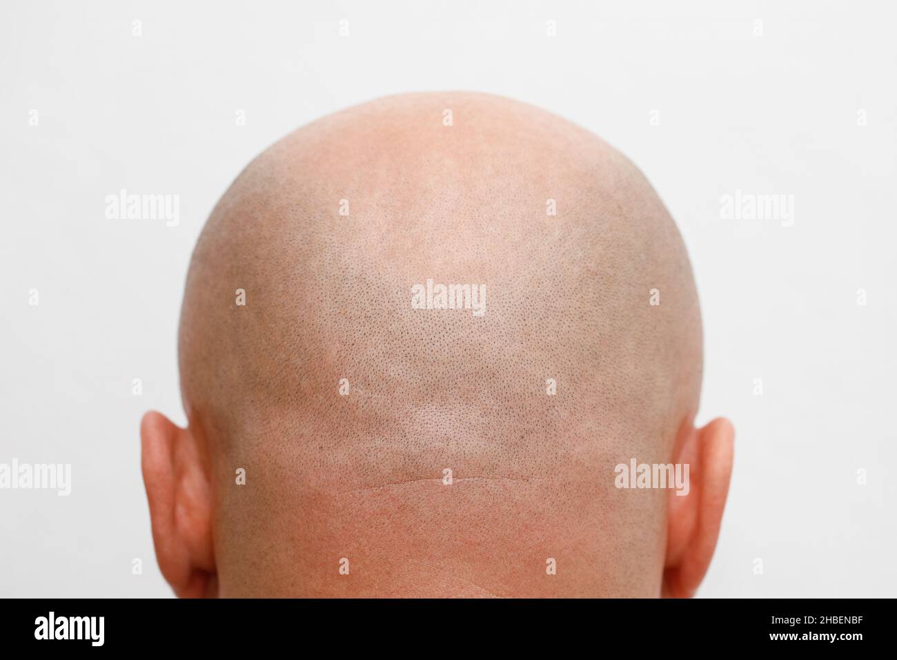 Shaved head rear view. Skinhead. Bald man. Stock Photo