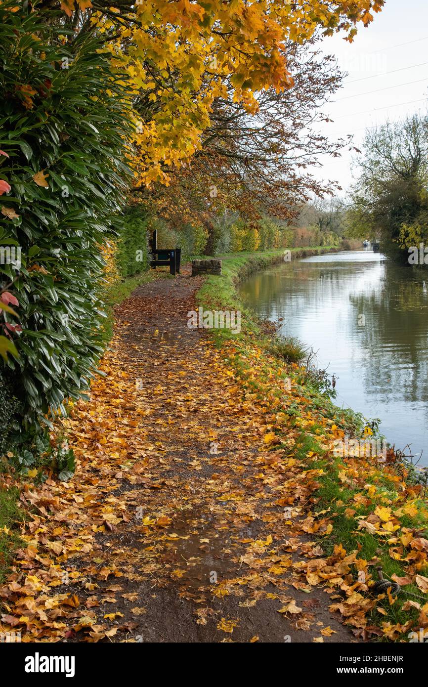 Kennet and Avon Canal during Autumn, Bradford on Avon, Wiltshire, England, UK Stock Photo