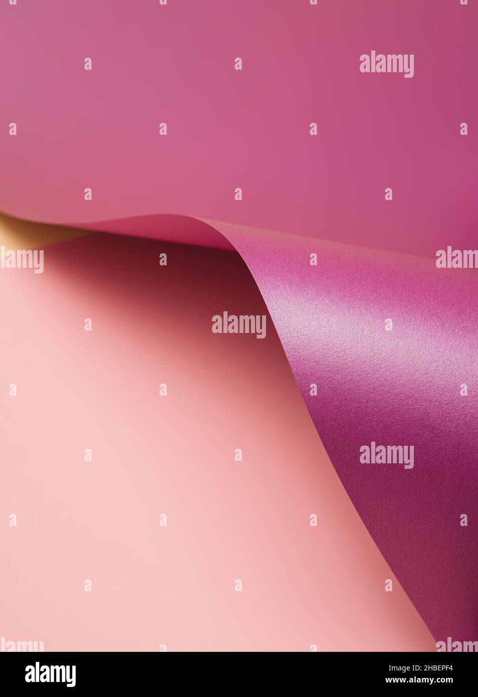 Violet wawy sheet of paper on a pastel pink background. Abstract vibrant background Stock Photo