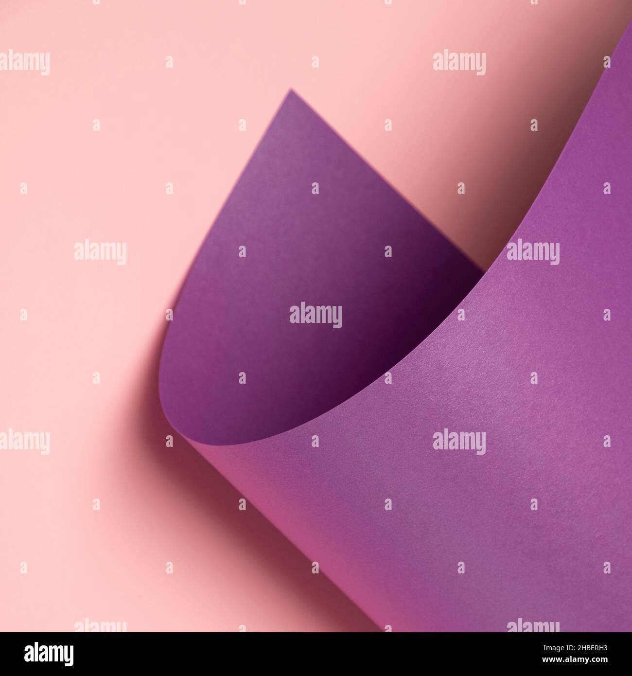 Pastel violet waved paper sheet on a light pink background. Minimal abstract square backdrop Stock Photo