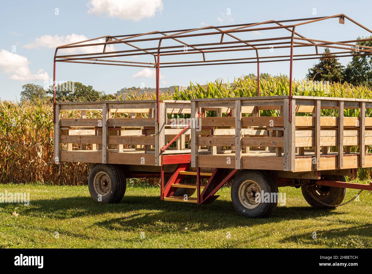 Wooden wagon with metal frame on trailer bed. Parked in front of corn