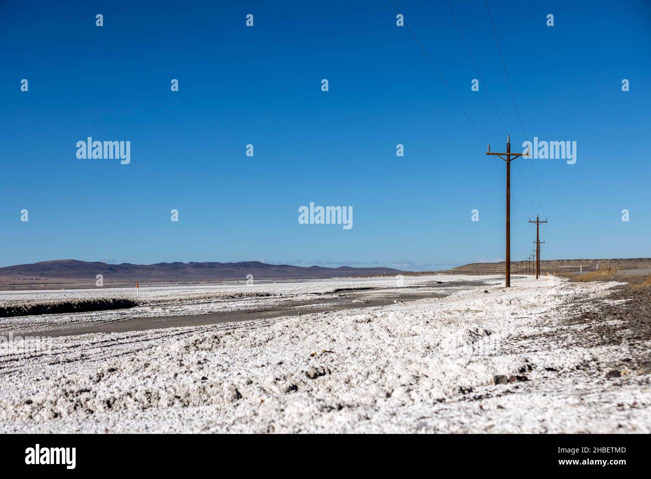 Line of telephone and power poles disappearing off into the distance in the desert salt flats