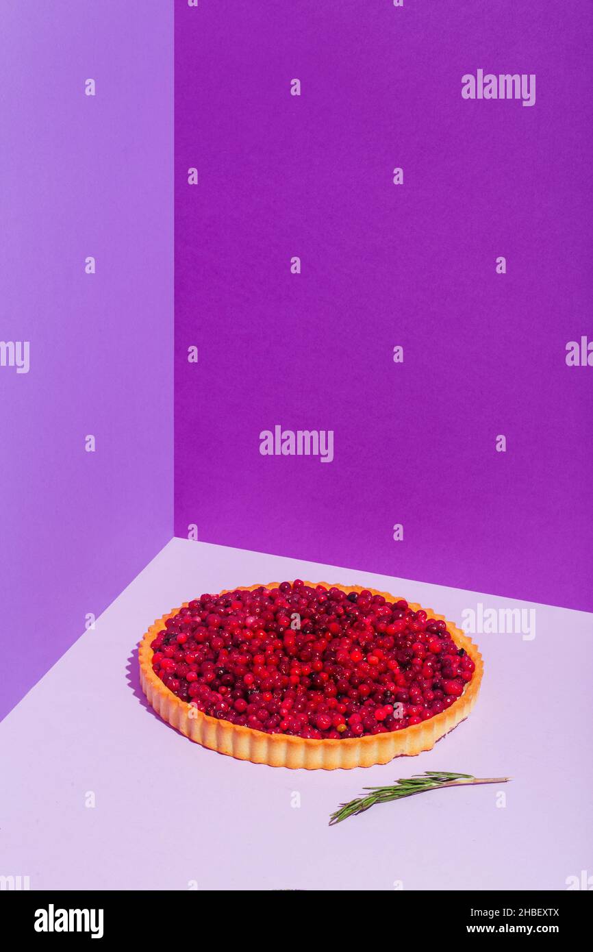 Cranberry Tart. Delicious cranberry tart with jellied and fresh cranberries for Christmas on violet background Stock Photo