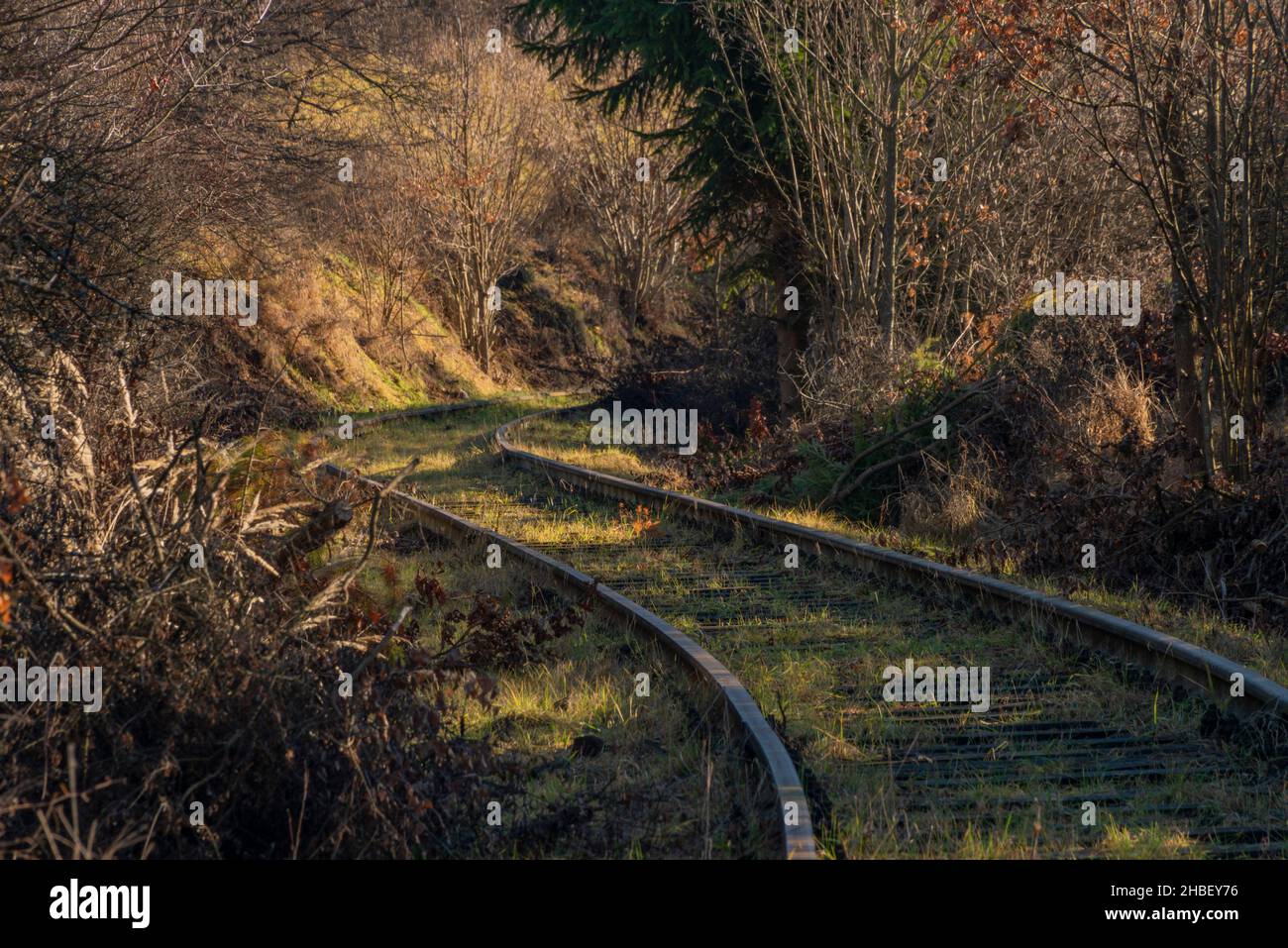Old industrial railroad siding from Kajov to Vetrni in south Bohemia Stock Photo