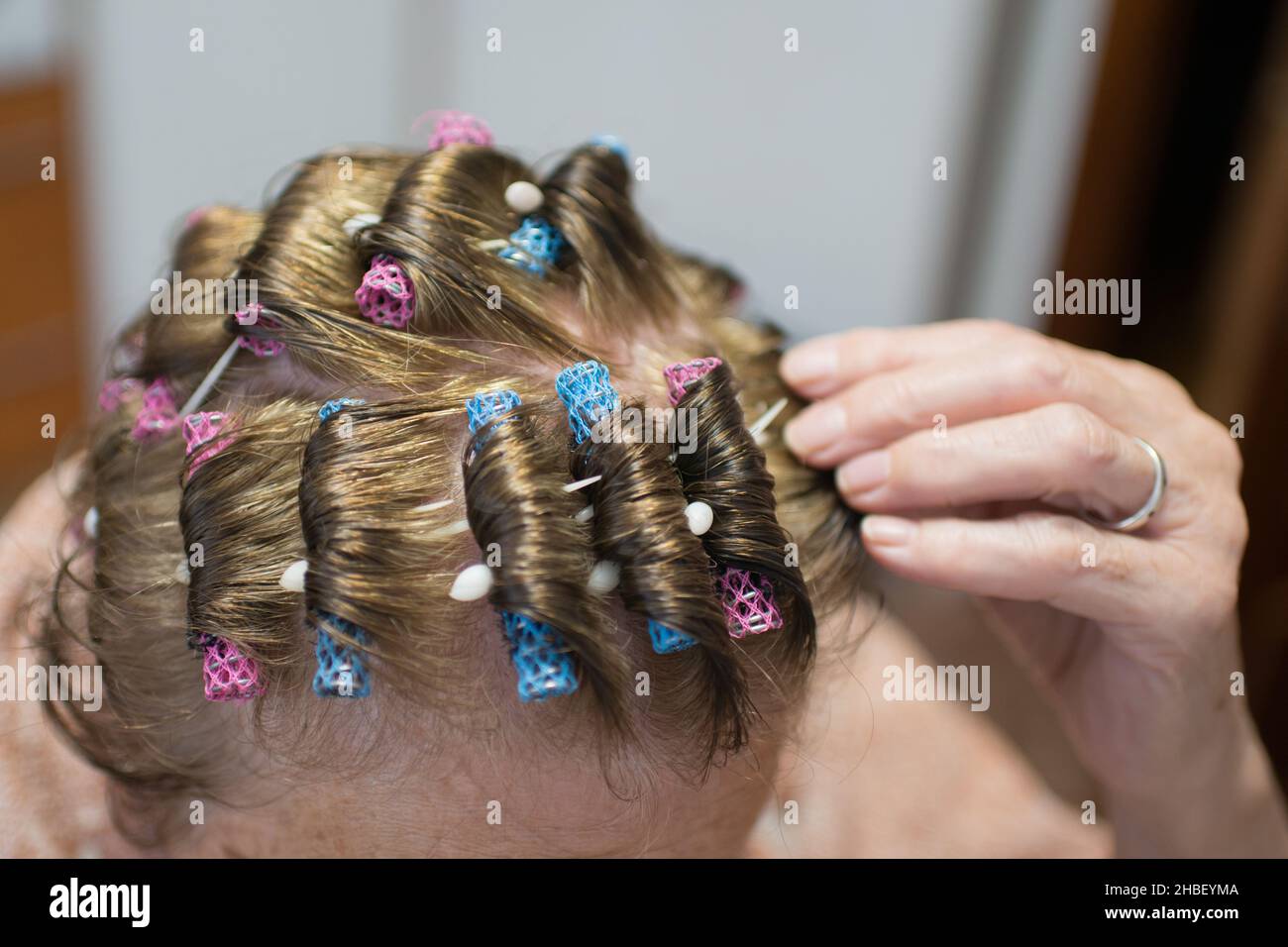Head of an aged woman with hair rollers. Short hair Stock Photo - Alamy