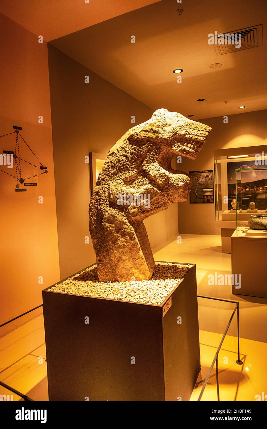 The finds from the Gobeklitepe excavation are exhibited in Sanliurfa archaeological museum in Sanliurfa, Gobeklitepe is a Neolithic archaeological Stock Photo