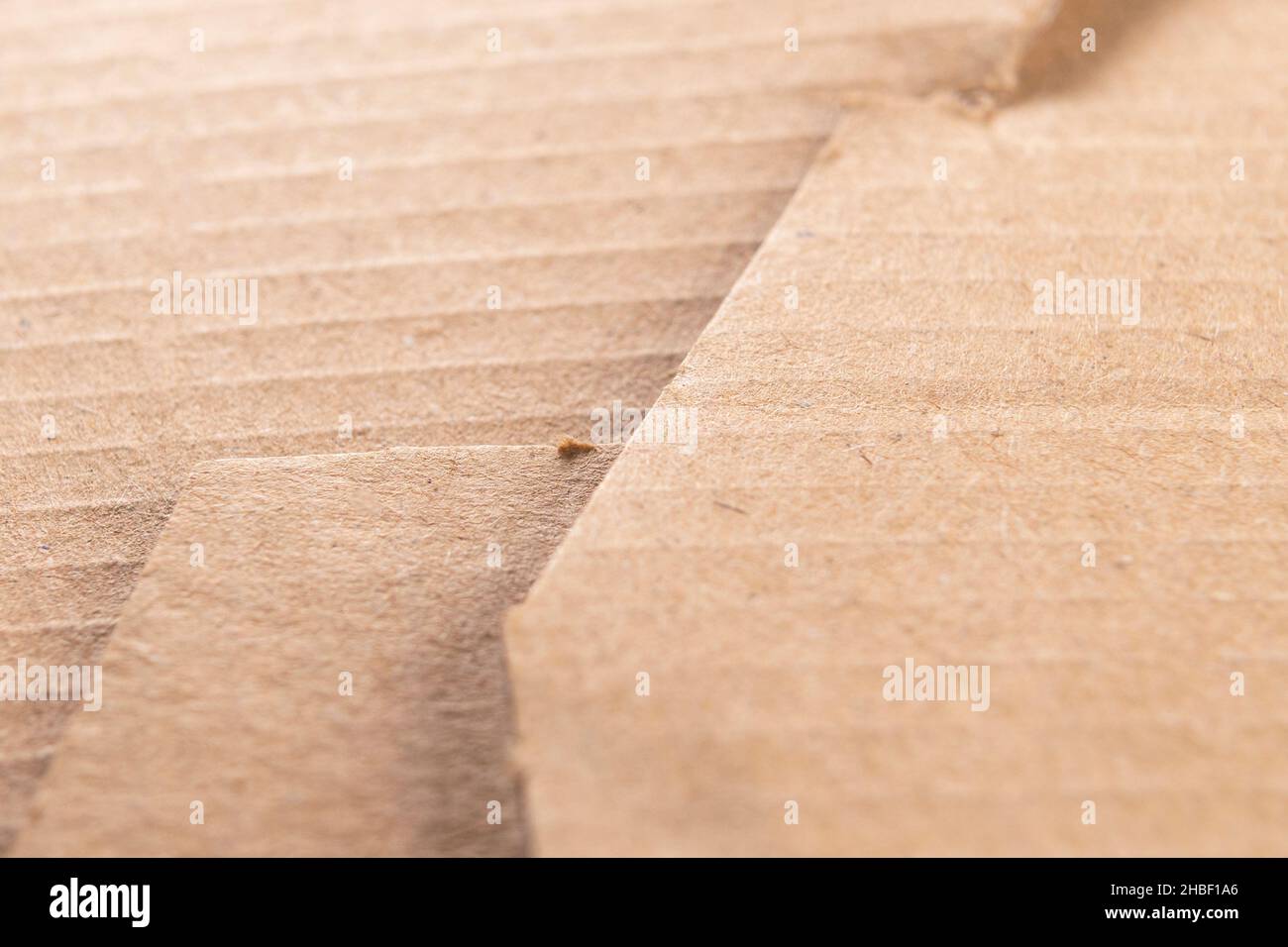 Torn cardboard box edge close up. Macro shot. Selective focus Stock Photo