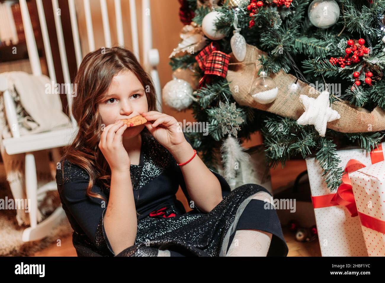 Cute chubby girl eating ginger cookies next to a Christmas tree Stock Photo