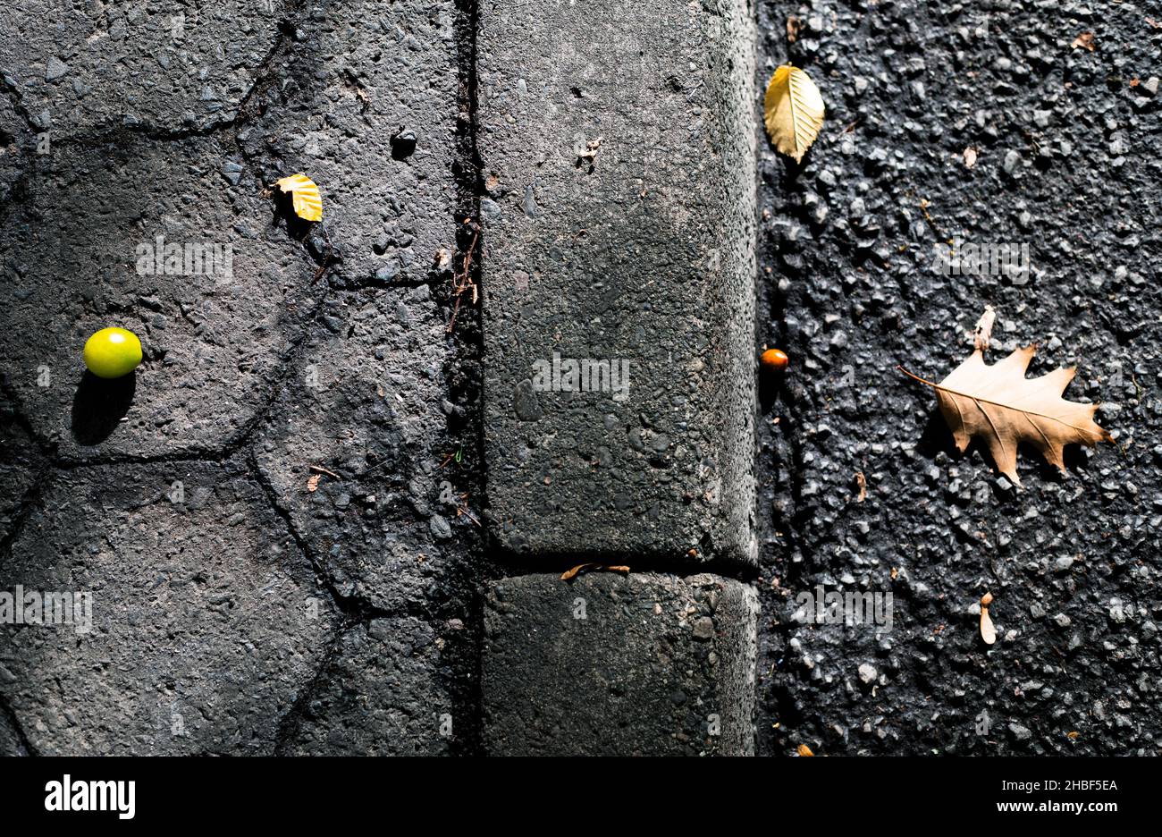 Tree Nut and Leaf on Curb Stock Photo