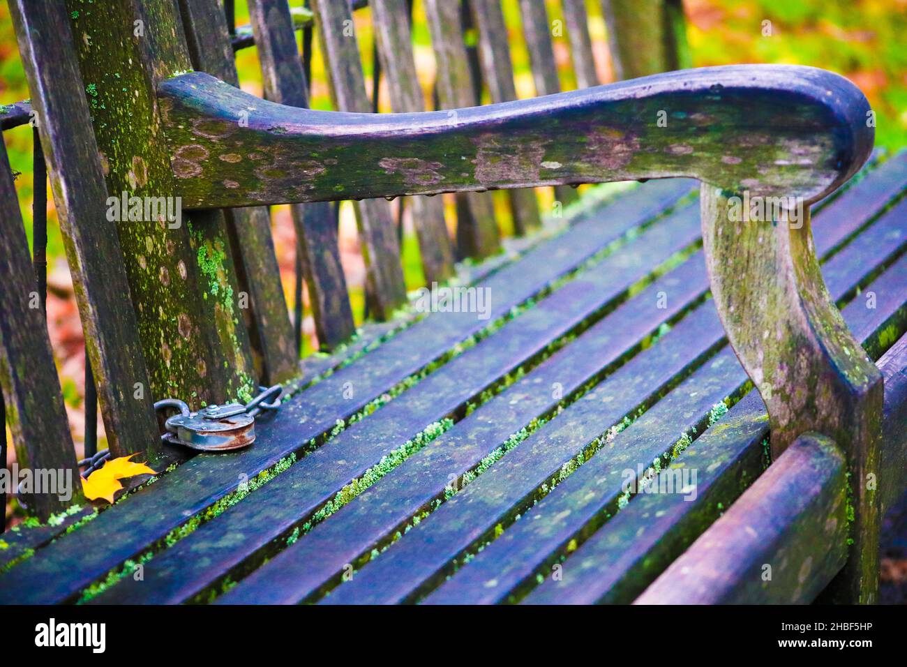 Bench with Lock and Leaf on Pathway, Hyde Park, London, England, United Kiingdom Stock Photo