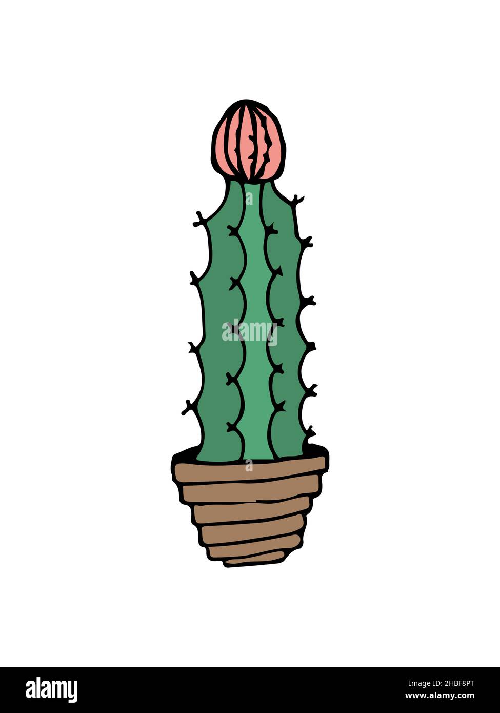 doodle illustration cactus on white Stock Vector Image & Art - Alamy