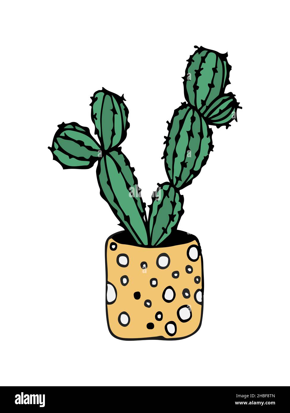 doodle illustration cactus on white Stock Vector Image & Art - Alamy