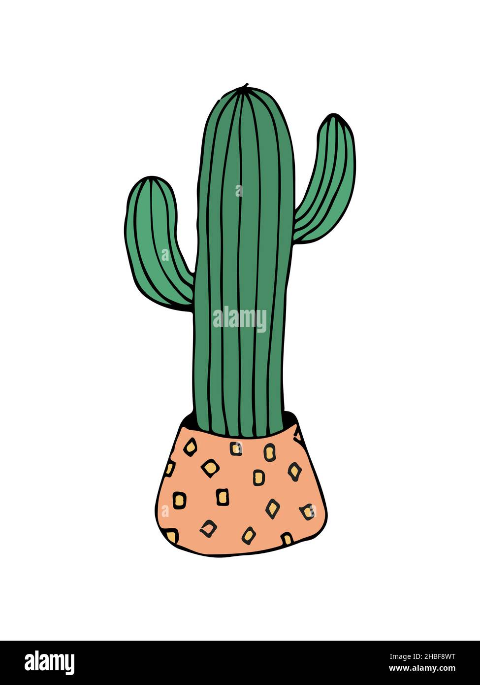 doodle illustration cactus on white Stock Vector Image & Art - Alamy