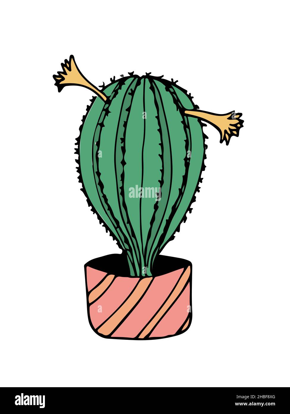 doodle illustration cactus on white Stock Vector Image & Art - Alamy