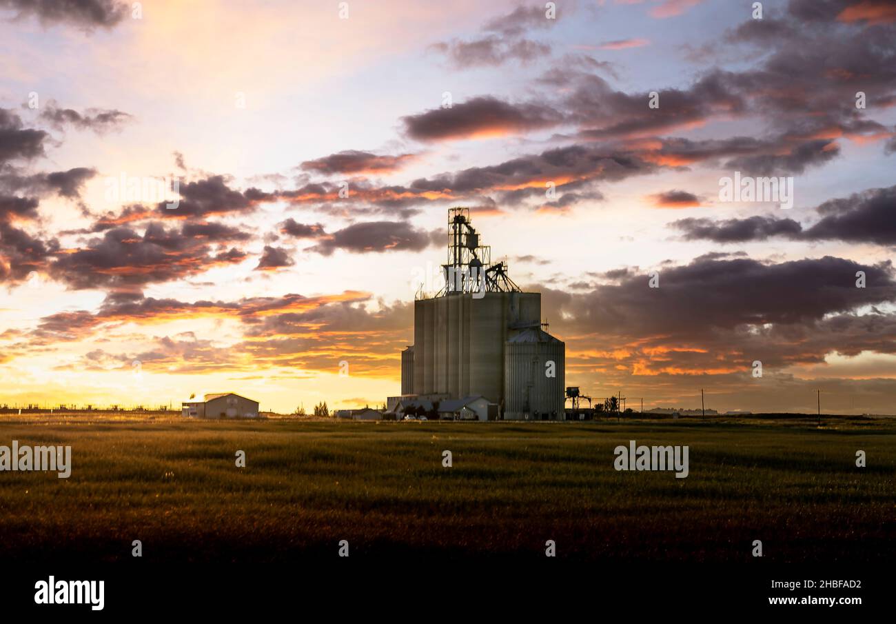 A grain elevator on the Canadian Prairies at sunset in Alberta North America. Stock Photo