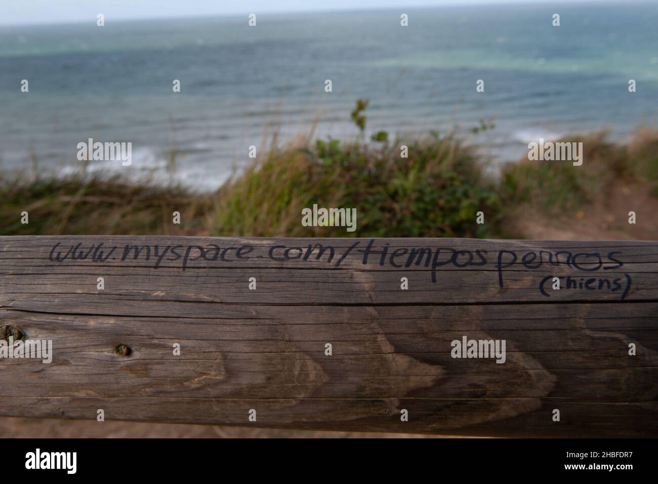 Old myspace address written on log by the sea Stock Photo Alamy