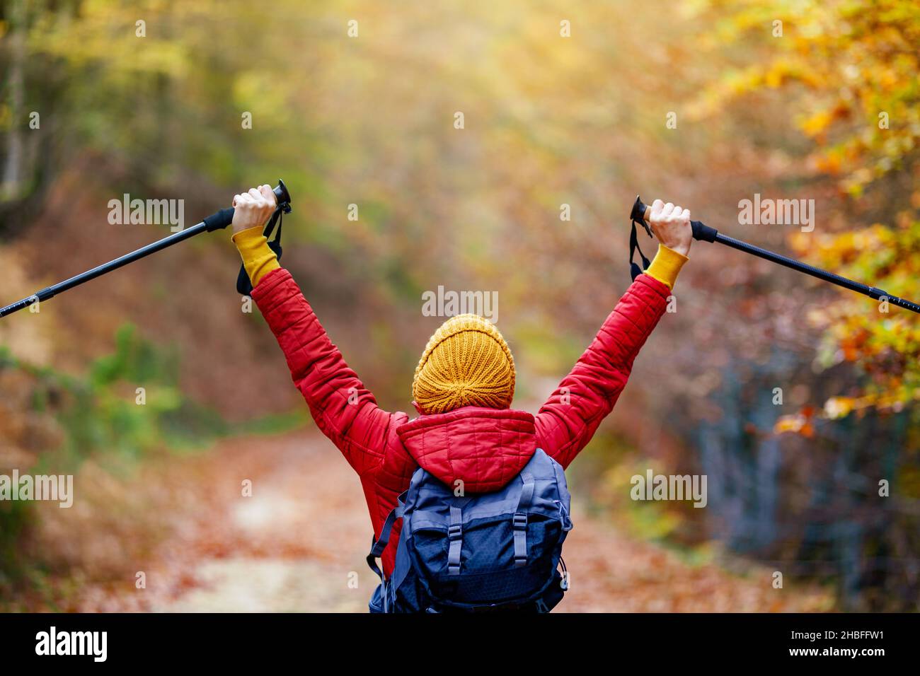 Hiking girl with poles and backpack on a trail. Backview. Hands up enjoying in nature. Travel and healthy lifestyle outdoors in fall season. Stock Photo