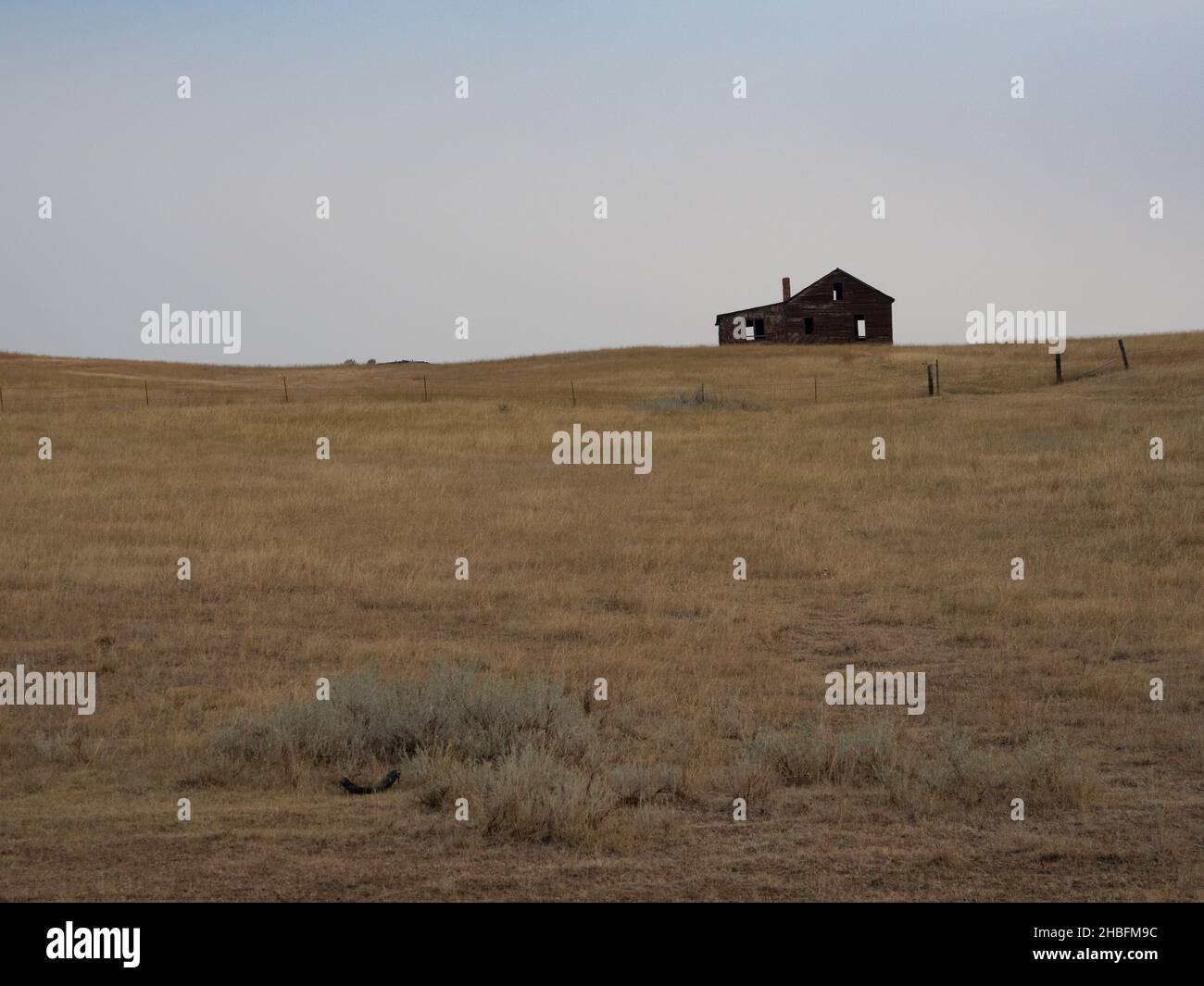 An old, abandoned, rundown wood house on the horizon with a cloudless ...