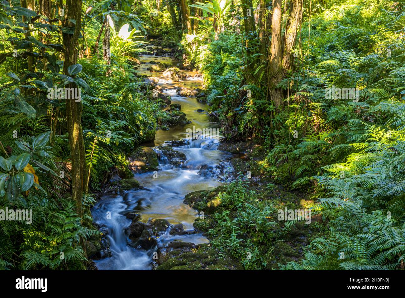 Pepeekeo big island hawaii hi-res stock photography and images - Alamy