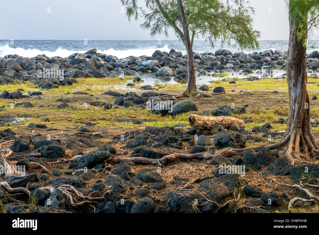 Scenic morning landscape in the Lehia Beach Park, Hilo, Hawaii Stock Photo