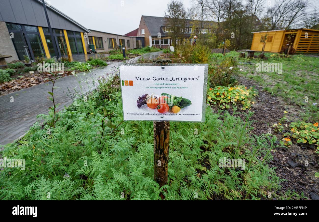 Insel Pellworm, Germany. 18th Nov, 2021. The canteen garden of the Hermann Neuton Paulsen School on the island of Pellworm is equipped with a sign for the vegetables planted. Finding teachers for the island often takes longer than in larger towns. Credit: Axel Heimken/dpa/Alamy Live News Stock Photo