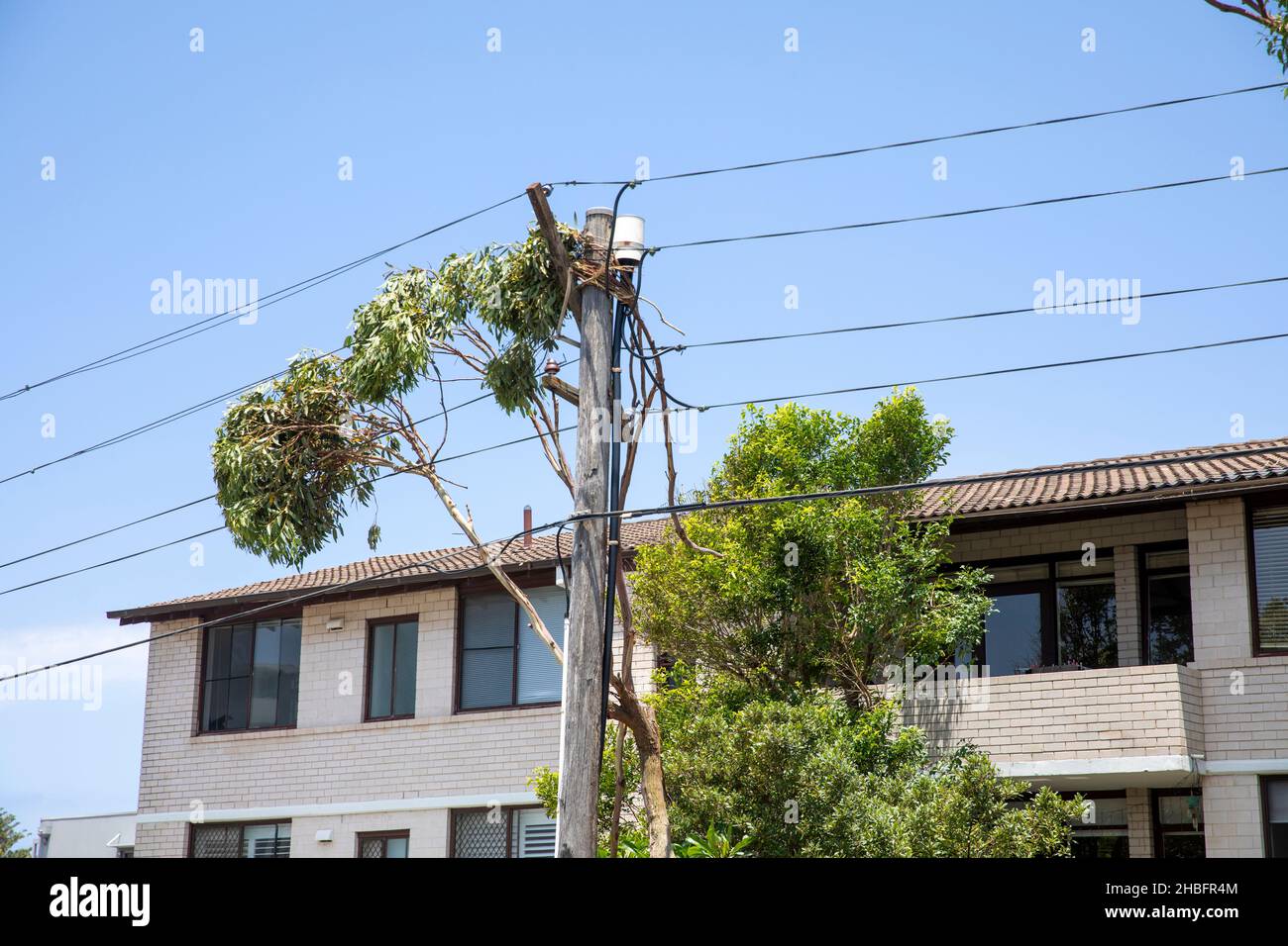The mini cyclone in Narrabeen on Sydney northern beaches brought trees down onto overhead power lines, with some 26000 residents losing power Stock Photo
