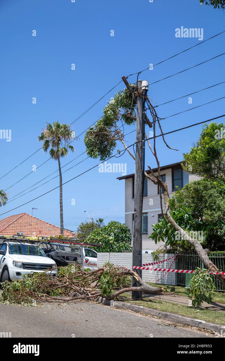 The mini cyclone in Narrabeen on Sydney northern beaches brought trees down onto overhead power lines, with some 26000 residents losing power Stock Photo
